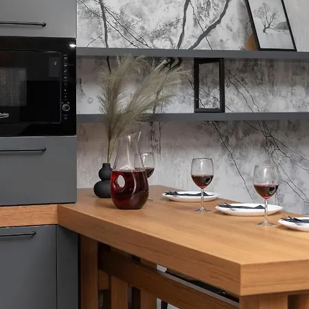 Trendy Downtown For 4 Guests By Renters * Γκντίνια